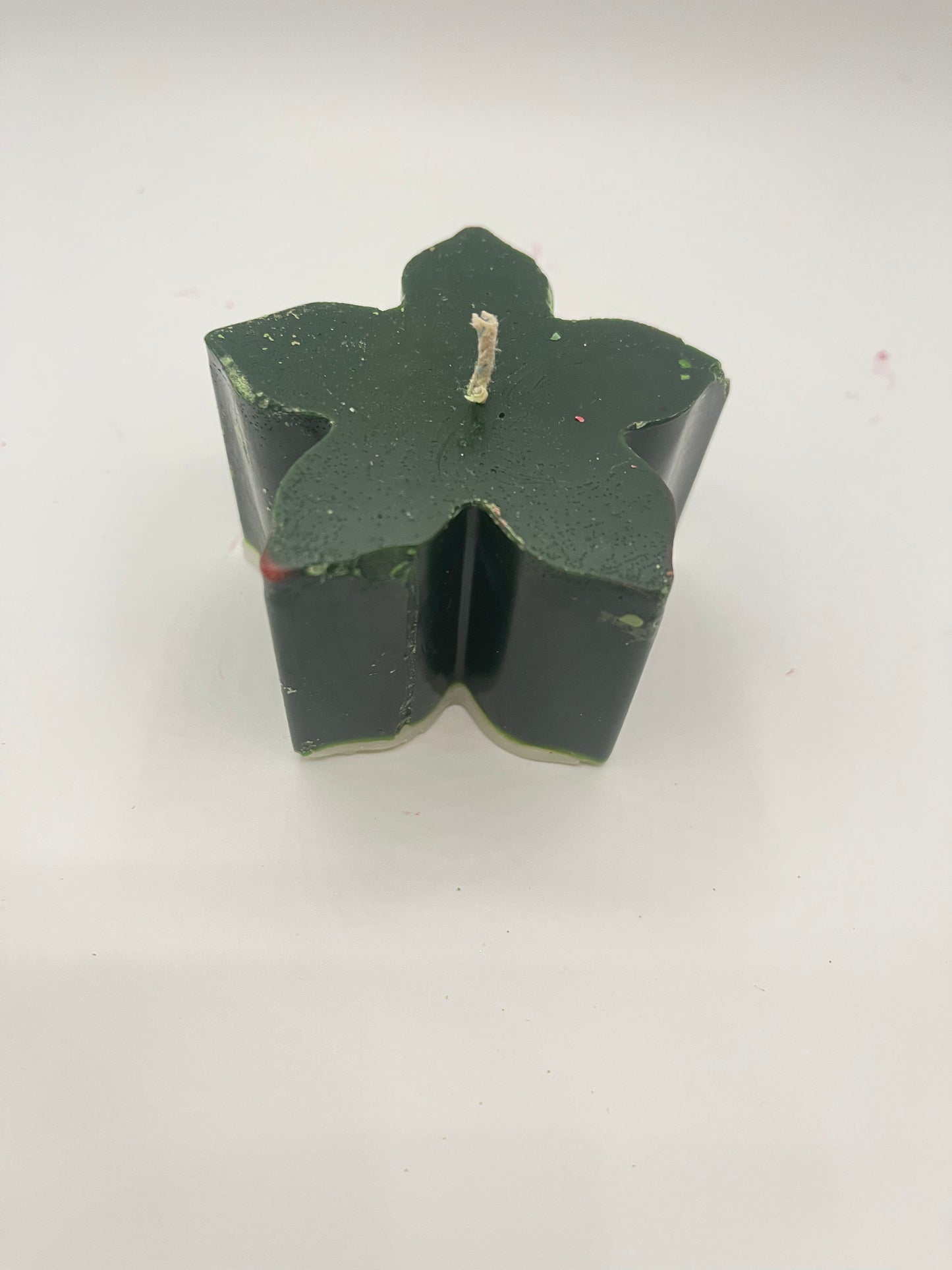 Christmas Eve flower